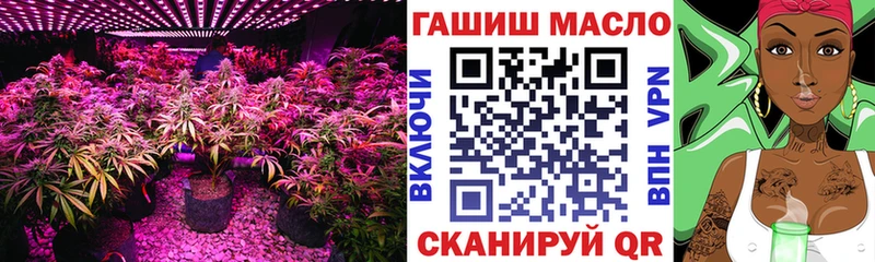 blacksprut ссылка  Малгобек  ТГК вейп  наркошоп 