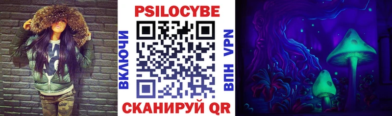 Псилоцибиновые грибы Psilocybine cubensis  Малгобек 