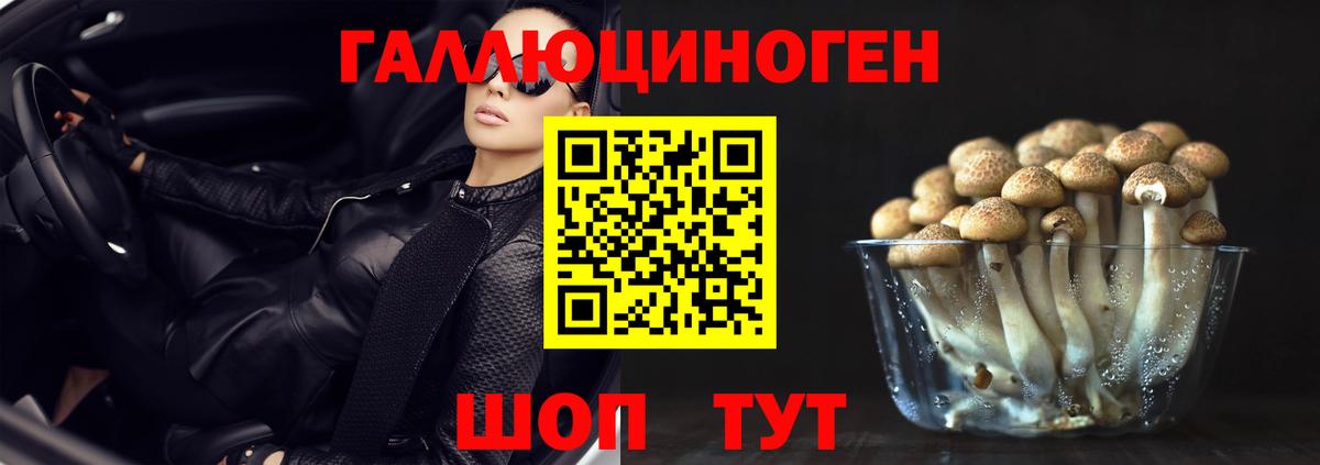 Псилоцибиновые грибы Cubensis  Вход с VPN  Малгобек 